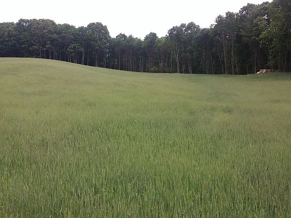 High Quality Grazing