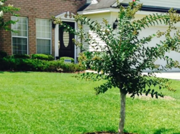 279 Longleaf Cir, Pooler, GA 31322