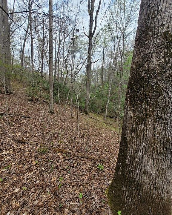 6 Auraria Rd, Dawsonville, GA 30534 MLS 7202318 Zillow