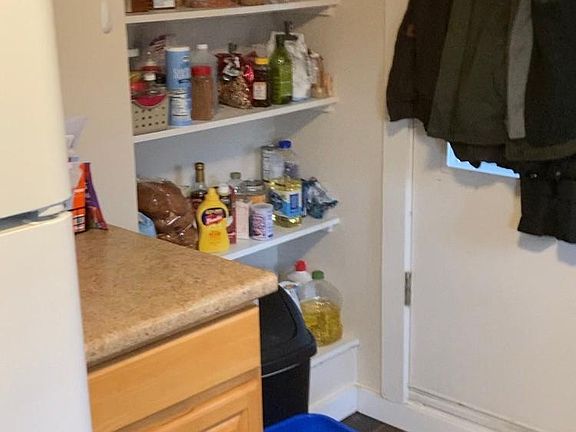 Rear entrance door, fridge and pantry