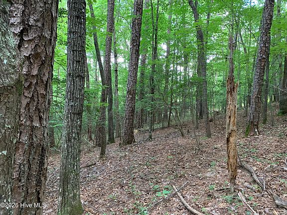 5th image of 2.87 Ac Hedden Road