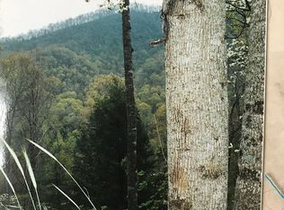 LOT 137 Birdymay Dr, Tuckasegee, NC 28783