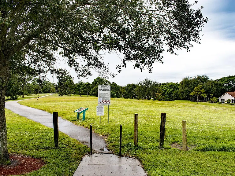 path to tree tops park