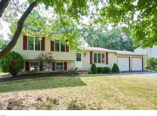 4901 Debbie Dr, Medina, OH 44256