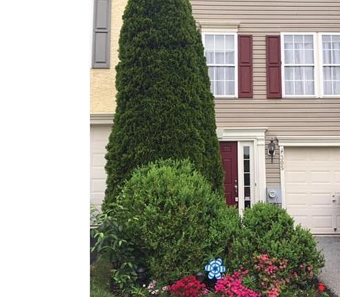 2nd image of 305 Broad Meadow Dr