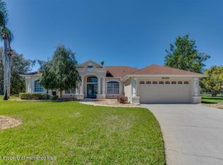 14201 Carlisle Dr, Spring Hill, FL 34609