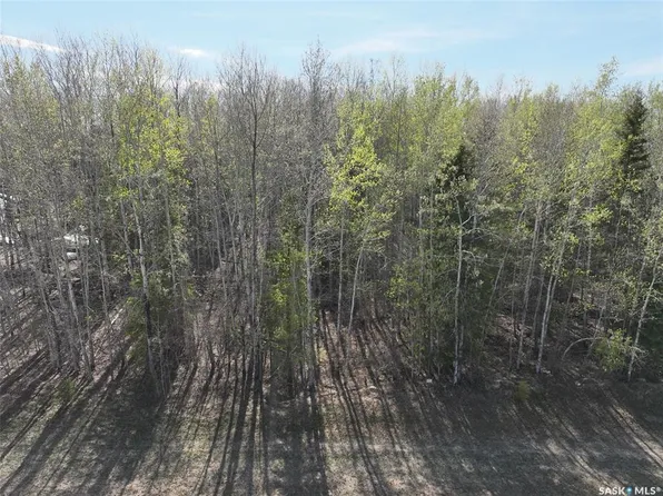 102 Aspen WAY, Candle Lake, SK S0J 3E0