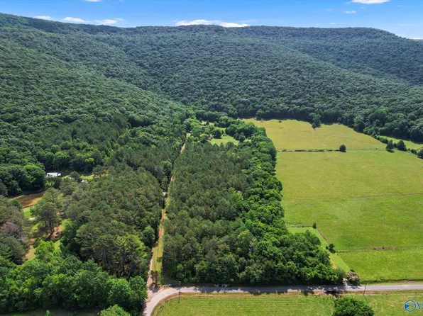 593 Sharps Hollow Rd, New Market, AL 35761