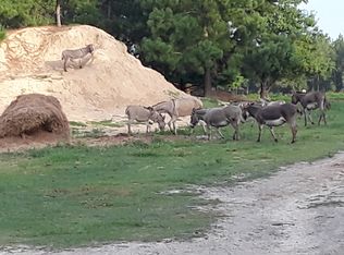 1594 Peach Rd, Morven, GA 31638