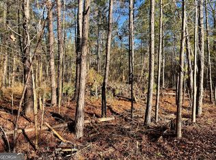 0 Tattnall Lake Rd PARCEL A, Dublin, GA 31021