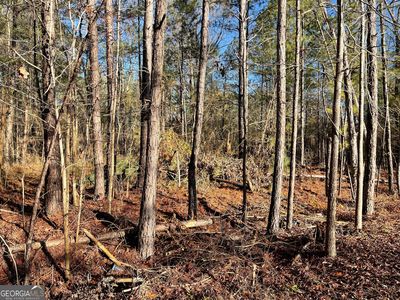 0 Tattnall Lake Rd PARCEL A, Dublin, GA, 31021