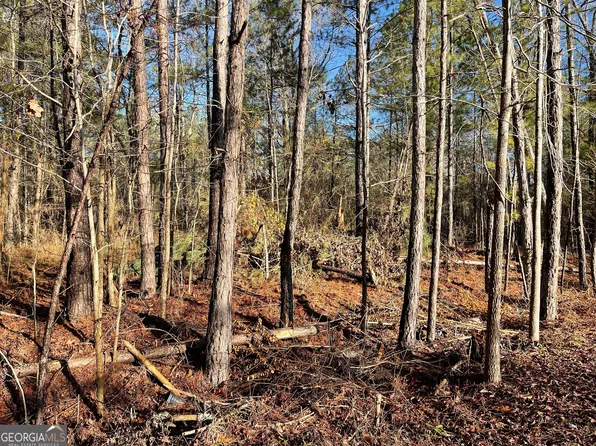 0 Tattnall Lake Rd Parcel A, Dublin, GA 31021