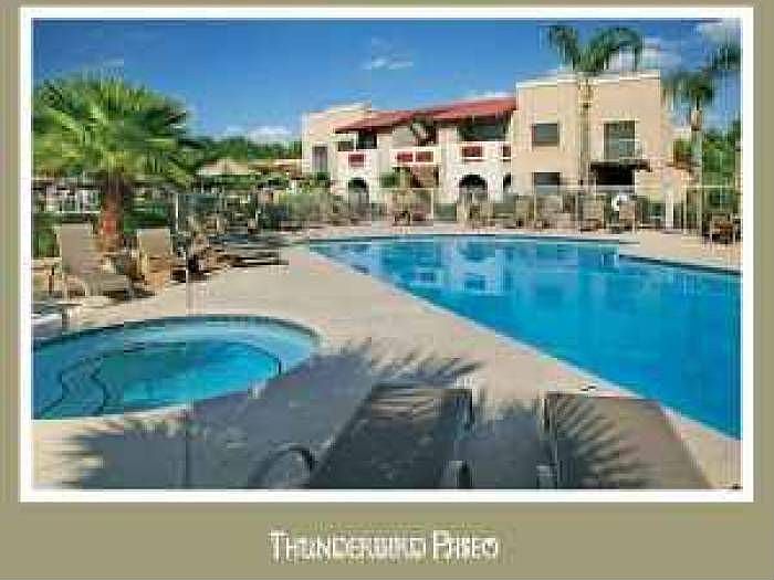 Pool and Spa