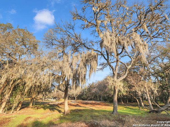 Moss Drawing Watercolor  Tree 1 Swamp Cypress Spanish Moss  Free  Transparent PNG Download  PNGkey