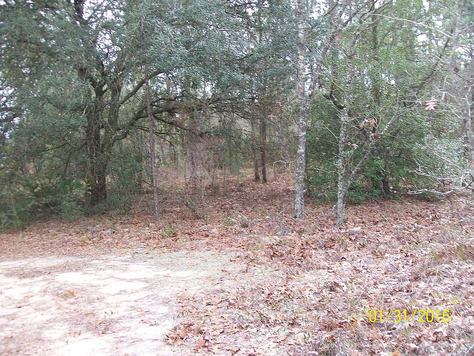 2nd image of Annie Jo Rd