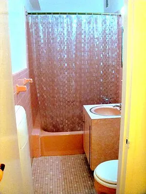 Rented by Eric Goodman Realty Corp | media 10