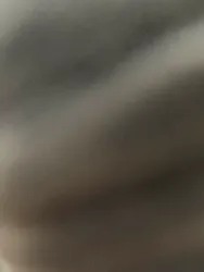 Rented by Minotaur Management