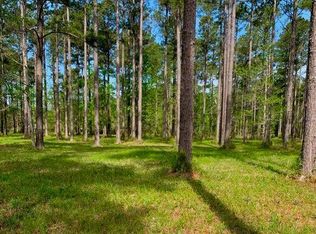 52 Corolla Loop Rd, Arapahoe, NC 28510