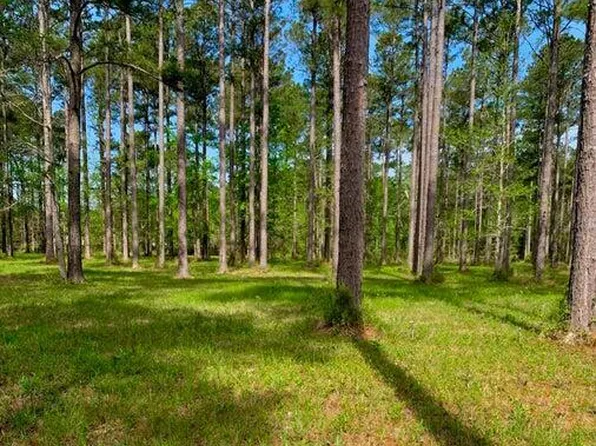 52 Corolla Loop Rd #52 & 52a, Arapahoe, NC 28510