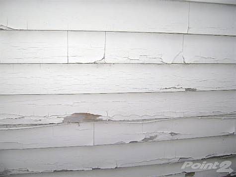 207paint