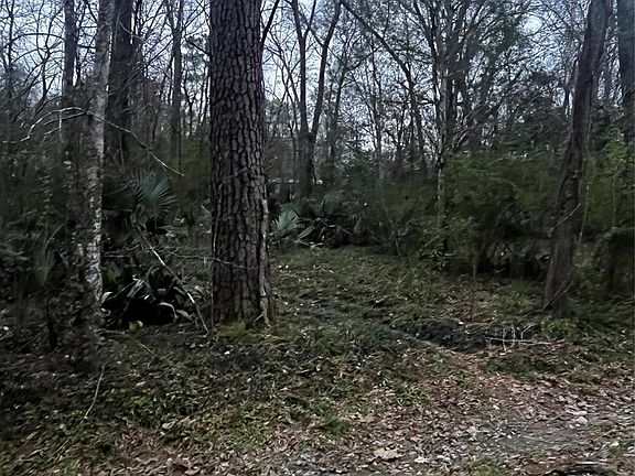 3rd image of 0 Elm St Lot 58