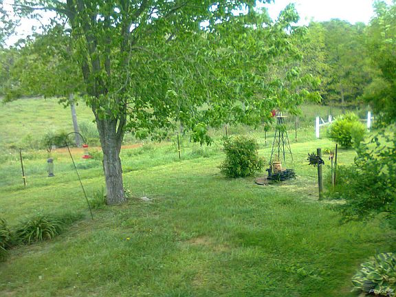 902022_529456943772221_59883342_o