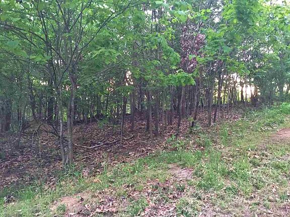 3rd image of LOT 29 Oak Hammock Ln
