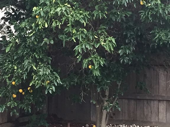 5th image of 9060 Stinson Beach Way