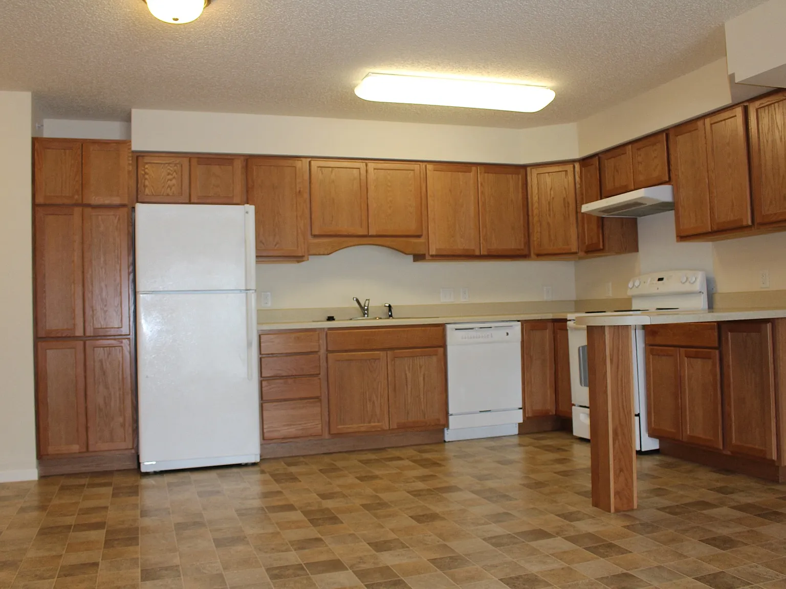 Forest Oak — Photo 3