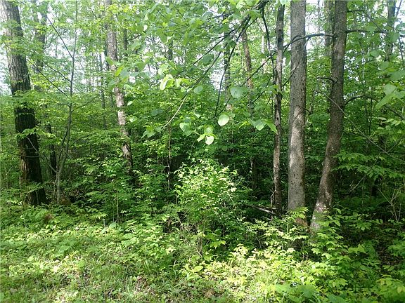 5th image of Lots 1 & 2 N Price Dam Road
