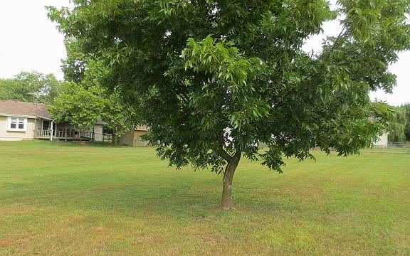 5th image of 105 E Patricia St