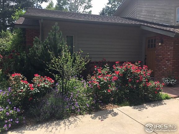 Plum extensive gardens