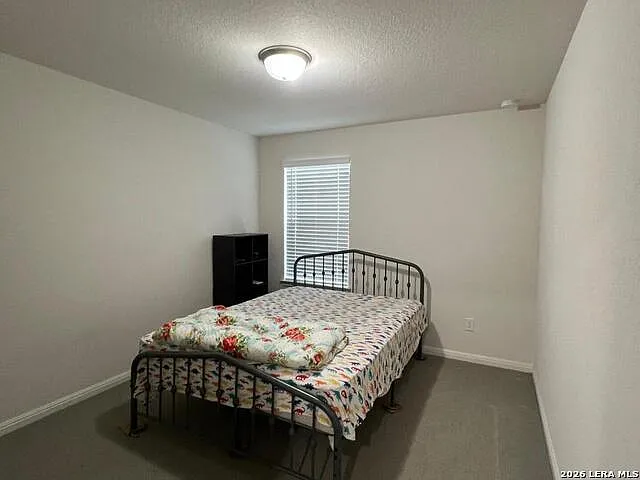 12907 Irvin Path — Photo 15