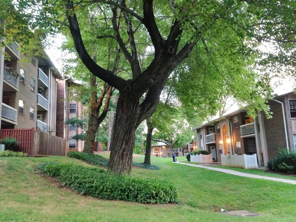 McLean Chase community