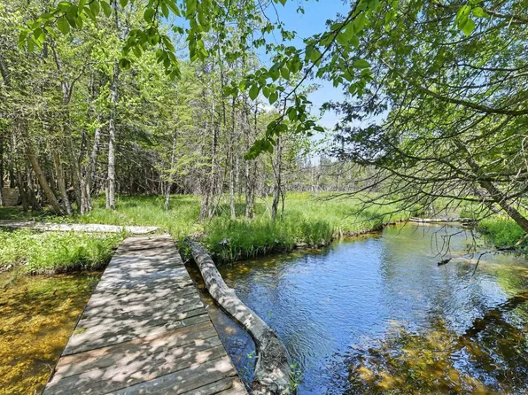 5218 Mitchell Rd, Central Lake, MI 49622