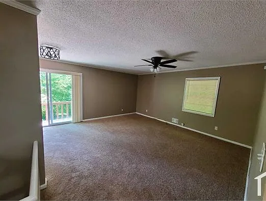 1 bed, $900 — Photo 1