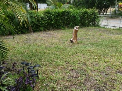 1595 NE 153rd Ter, North Miami Beach, FL, 33162