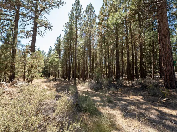 900 3rd St, Portola, CA 96122