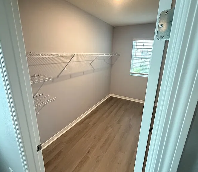 17029 Blister Wing Dr — Photo 32