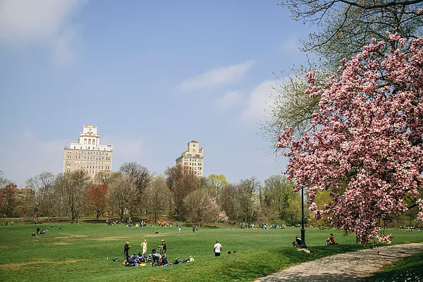 Rented by Compass | media 10