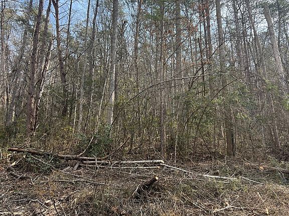 3rd image of 0 Robinson Gap Rd