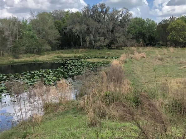 Lonnie Shackelford Rd, Zolfo Springs, FL 33890