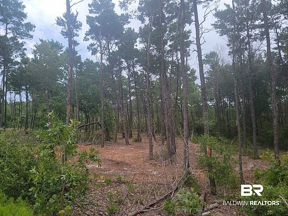 4th image of 0 Primrose Ln