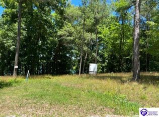 354 Marina Point Ln, Falls Of Rough, KY 40119