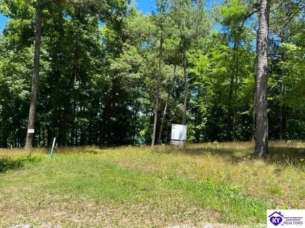 354 Marina Point Ln, Falls Of Rough, KY 40119