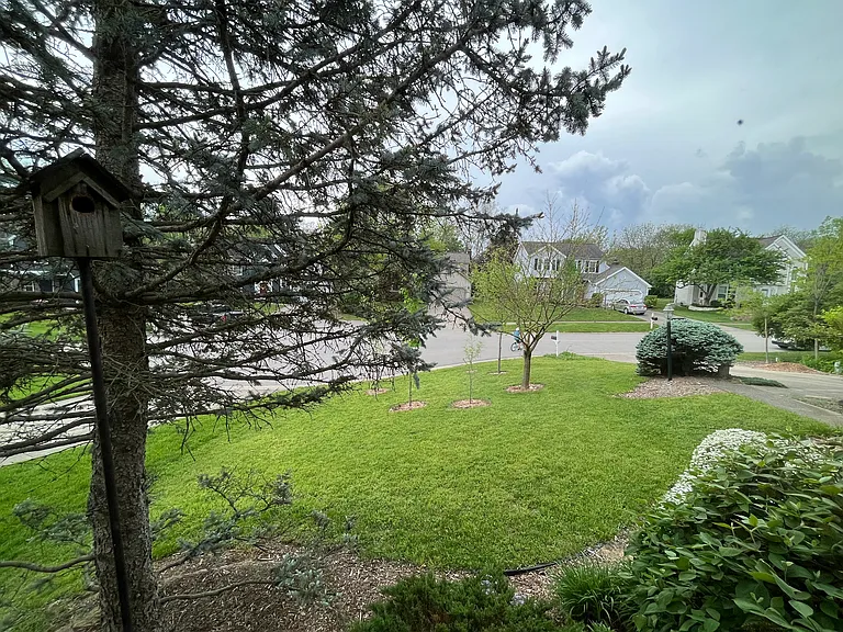 6400 Belmont Park Ct — Photo 57