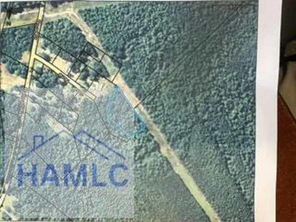 2 Acres Railroad Ave, Alamo, GA 30411