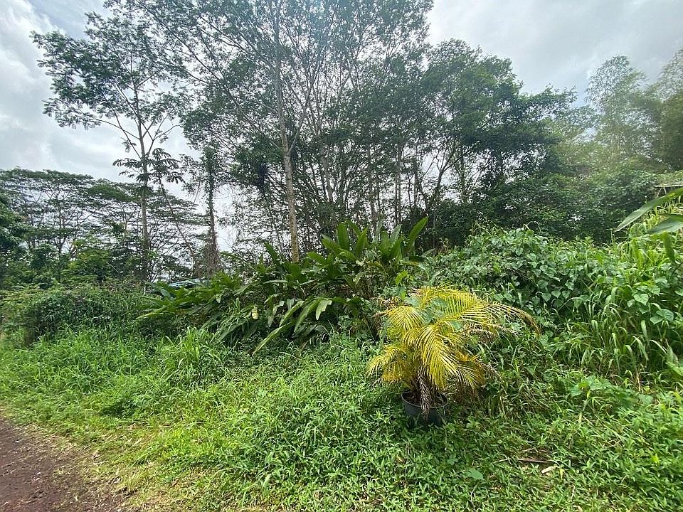 2nd image of Paradise Cir Lot 38