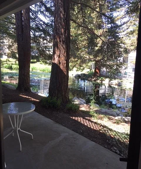 700 E Lake Dr #34 — Photo 11