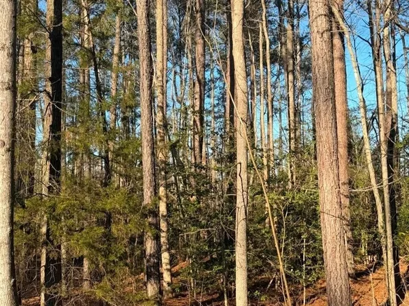 119 American Dr Lot 1675, Ruther Glen, VA 22546